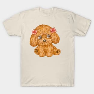 Toy poodle wearing a ribbon looks up T-Shirt